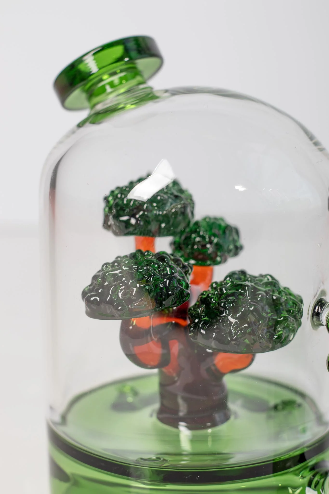 BONSAI RIG - Image 3