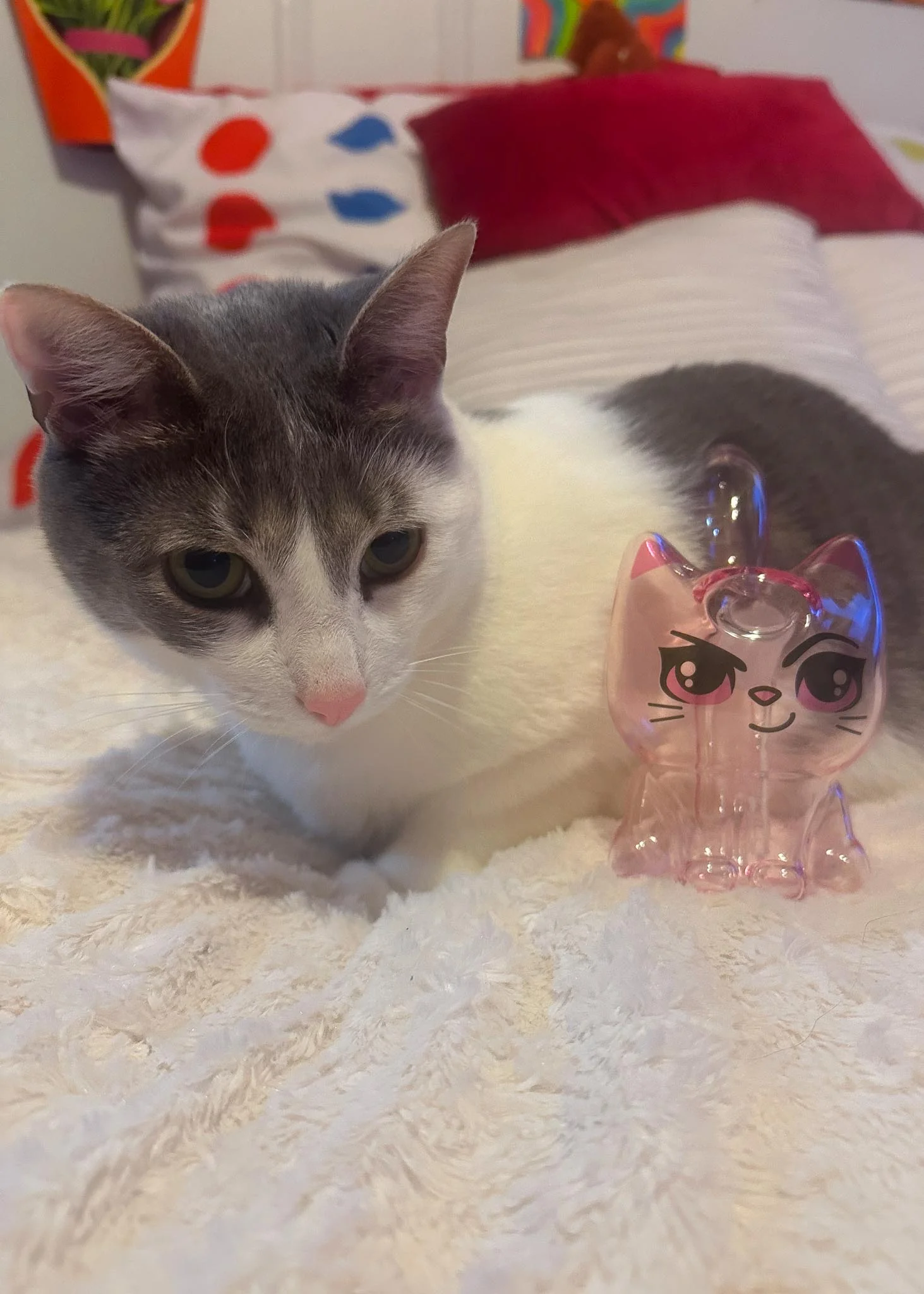 CANNACAT BUBBLER - Image 9