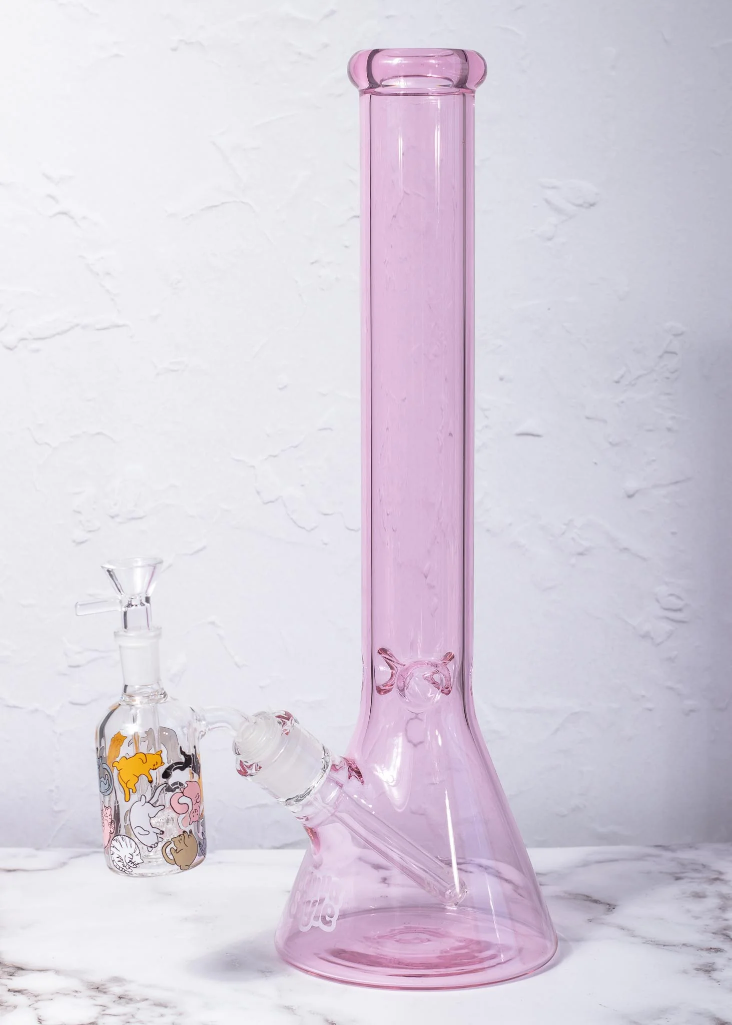 CAT ASH CATCHER - Image 5