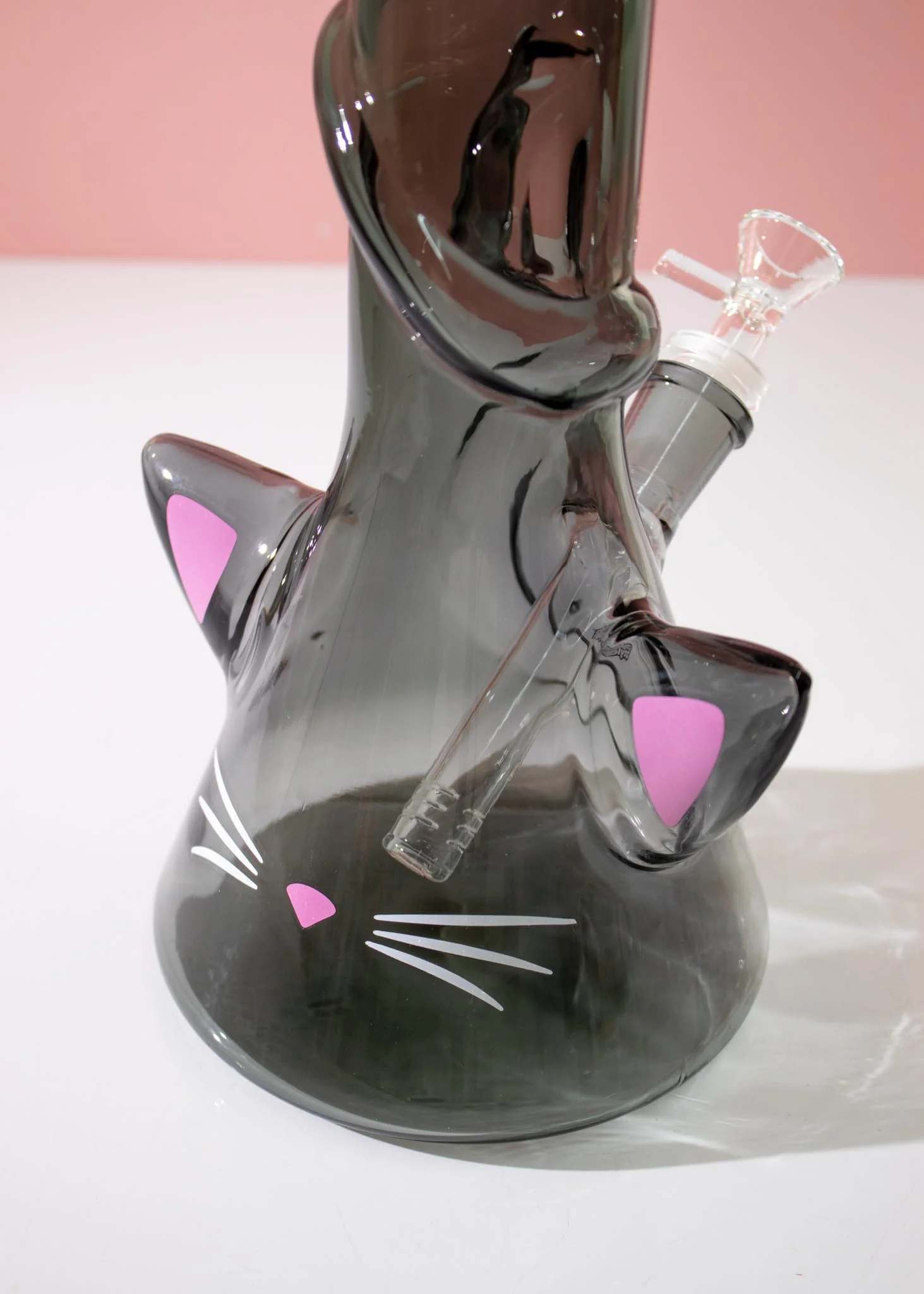 CAT BONG - Image 4