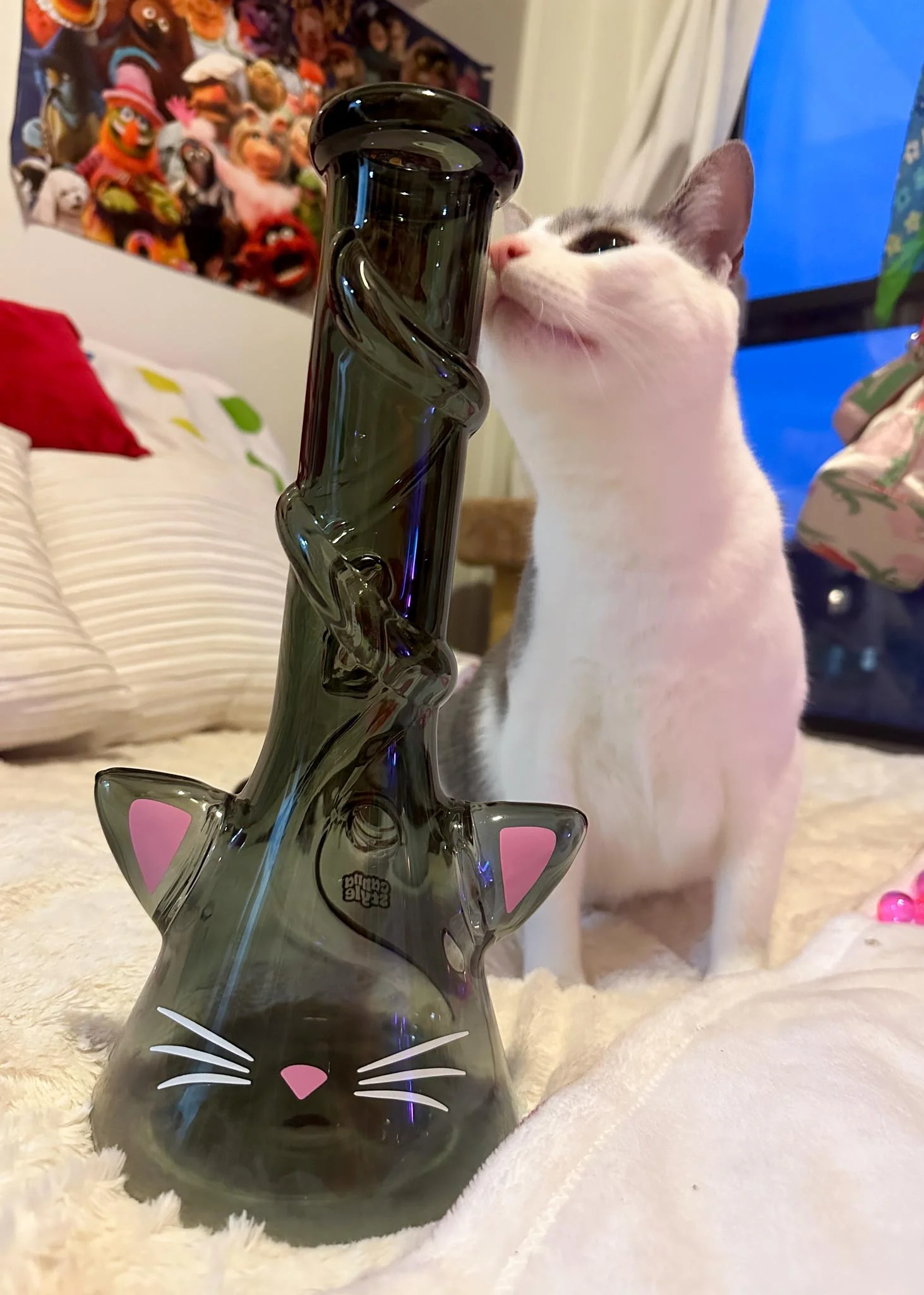 CAT BONG - Image 5