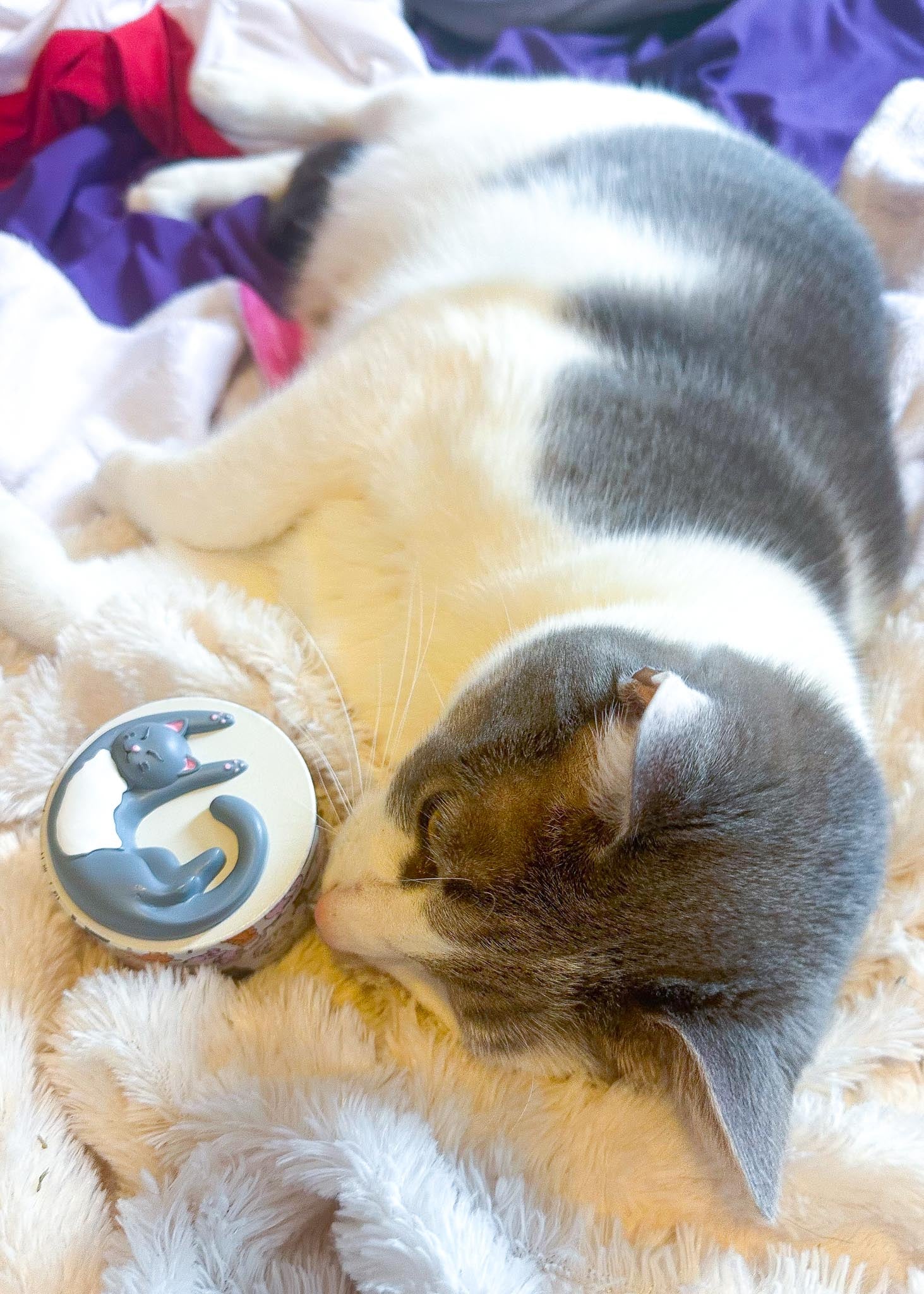 COZY CAT GRINDER - Image 3