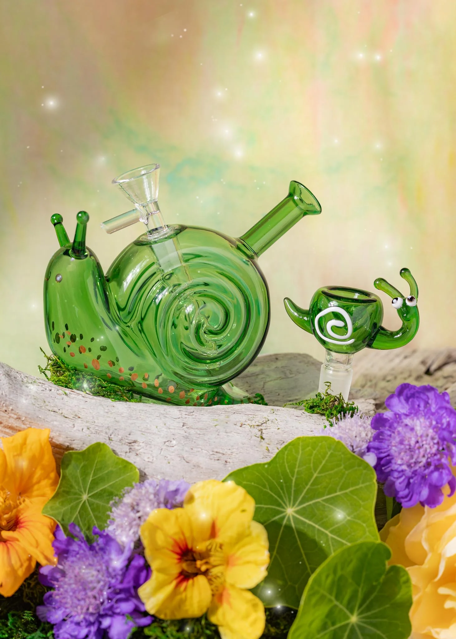 SNAIL BOWL - Image 3