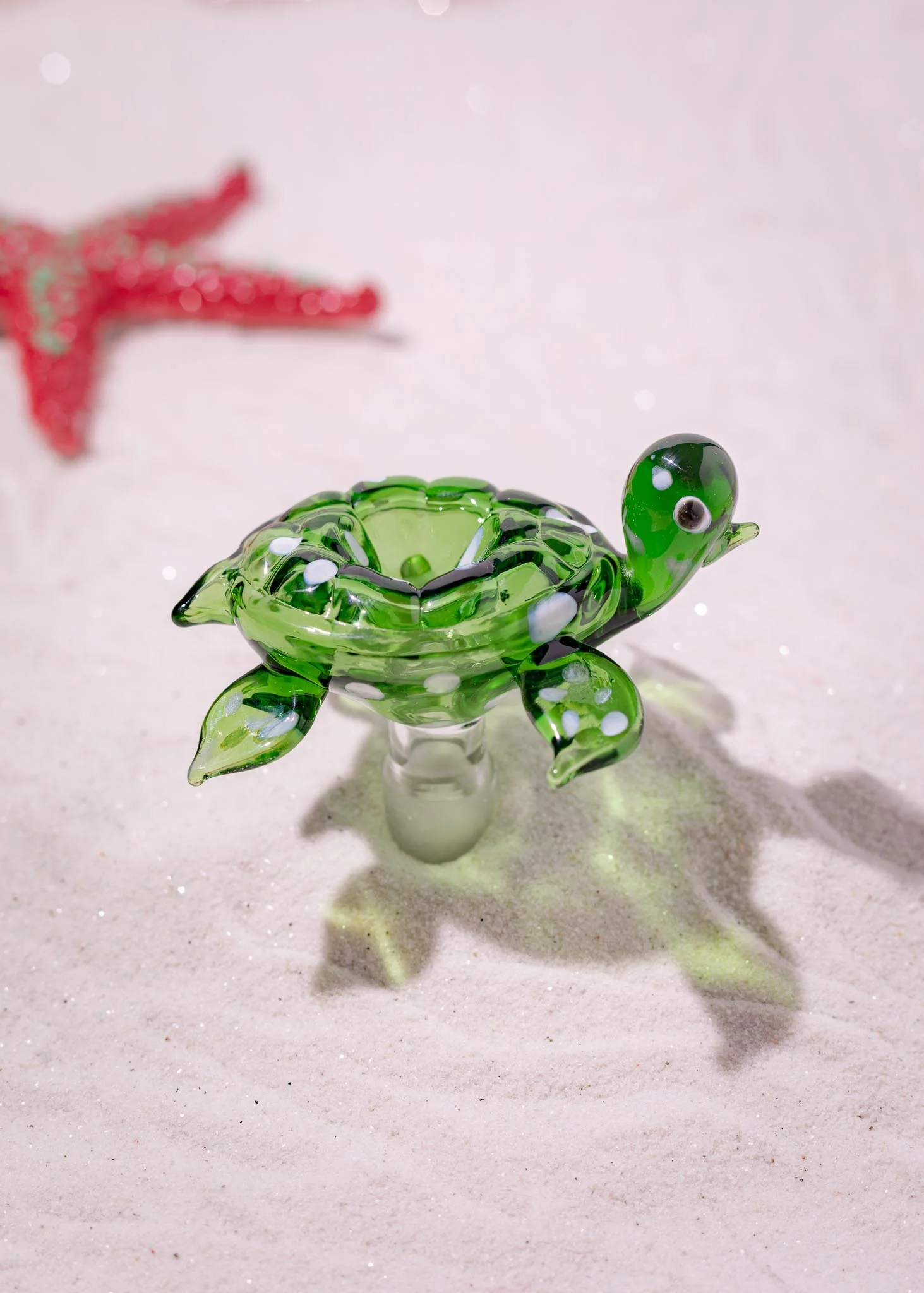 TURTLE BOWL - Image 3