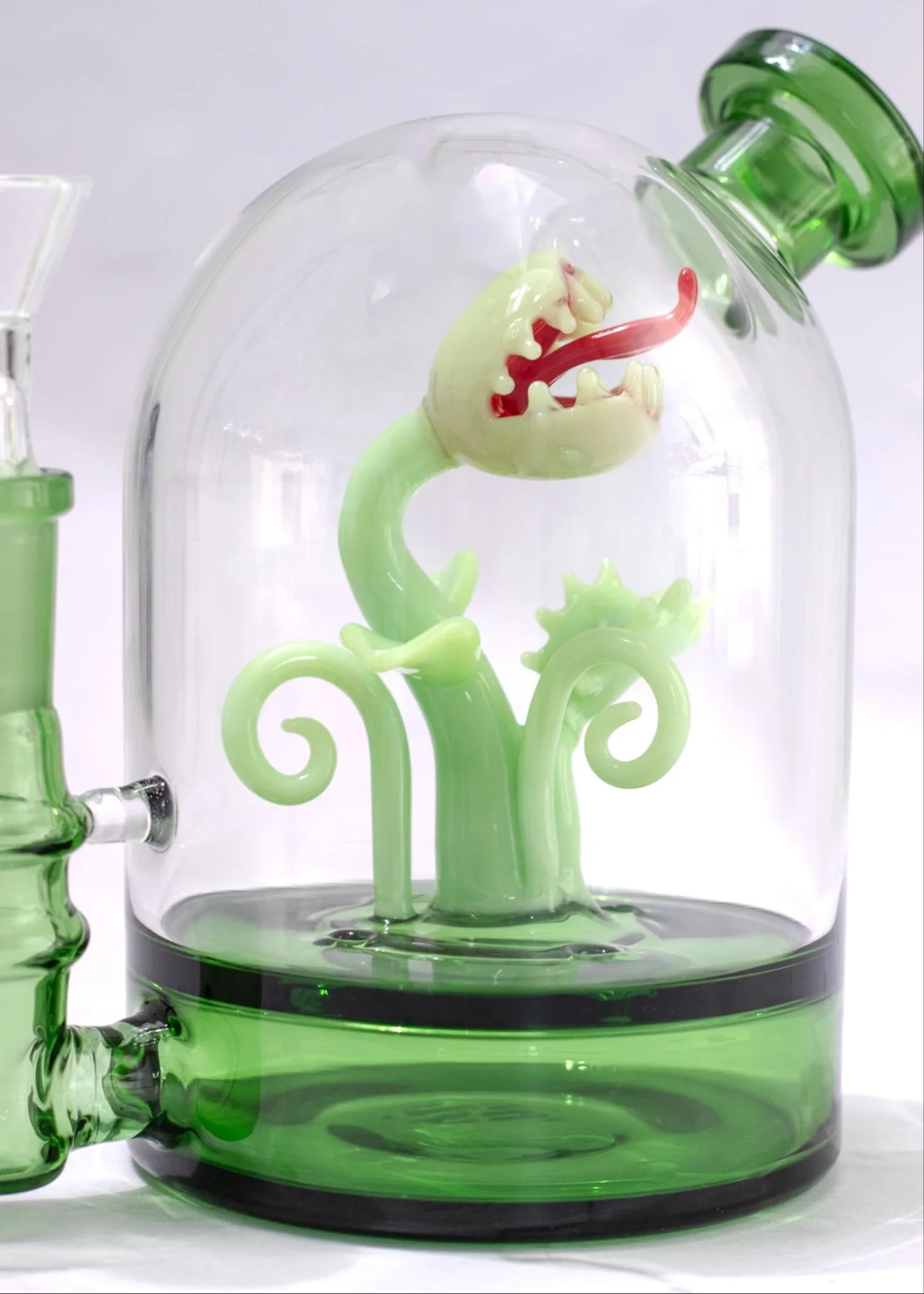 VENUS FLY TRAP CLOCHE RIG - Image 3
