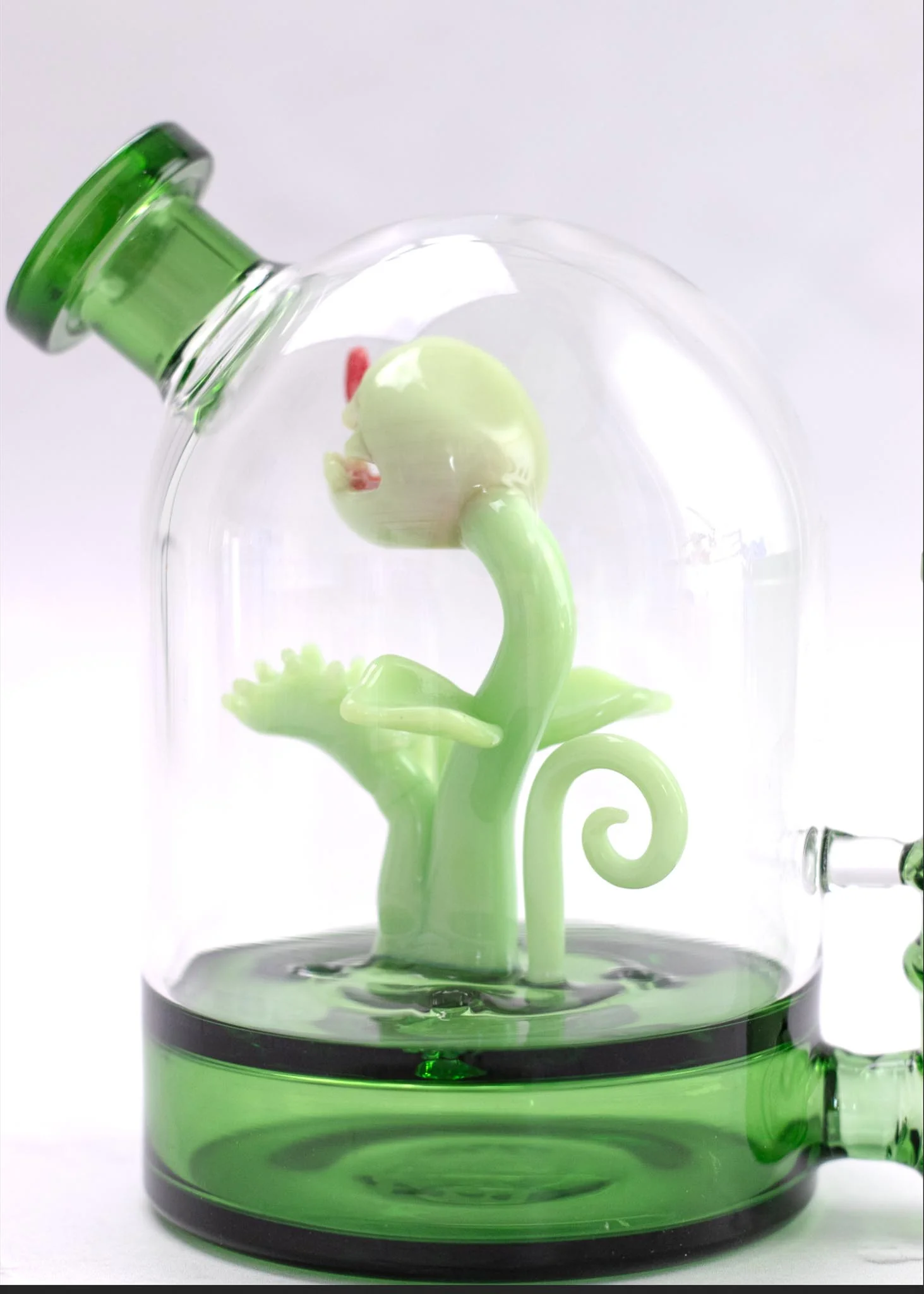 VENUS FLY TRAP CLOCHE RIG - Image 4